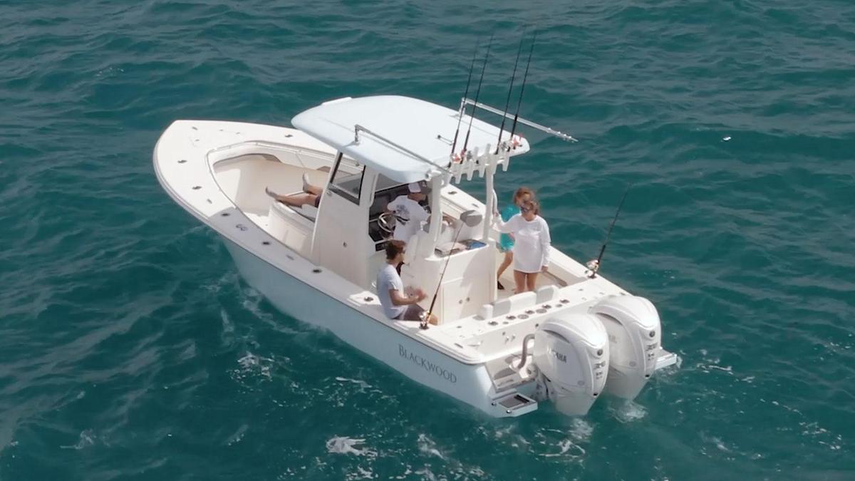 Blackwood 290 LX Open