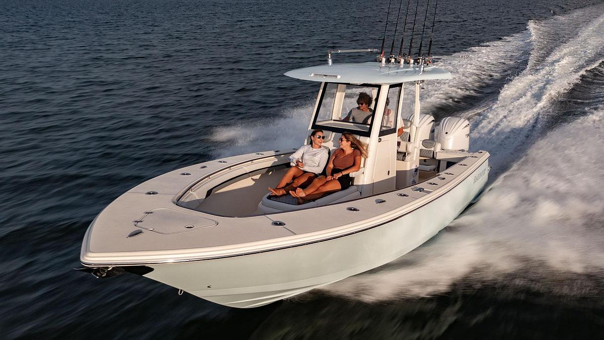 Blackwood 290 LX Open