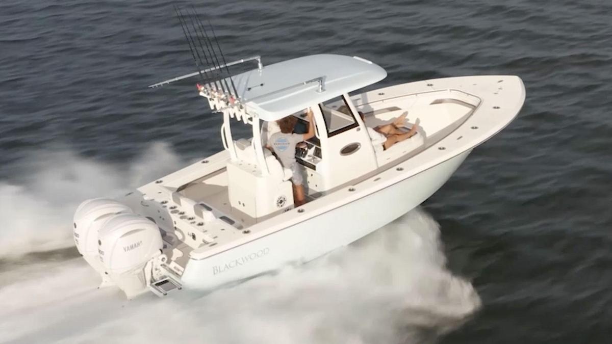 Blackwood 290 LX Open