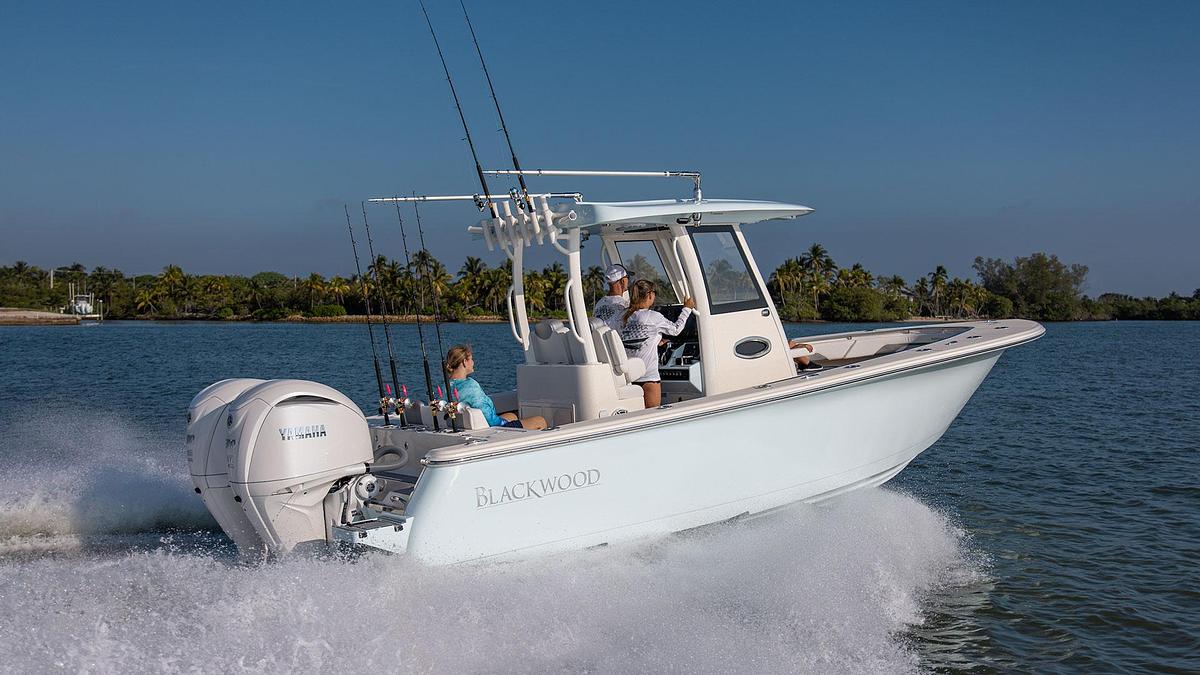 Blackwood 290 LX Open