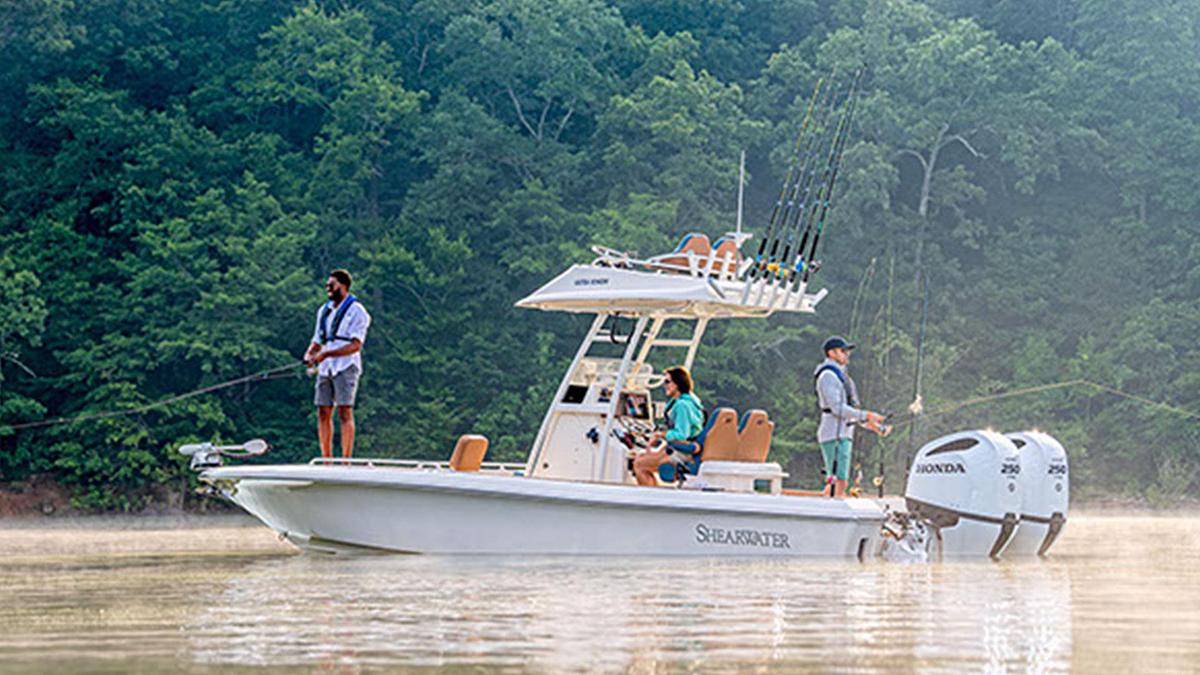 Shearwater 270 SS Carolina