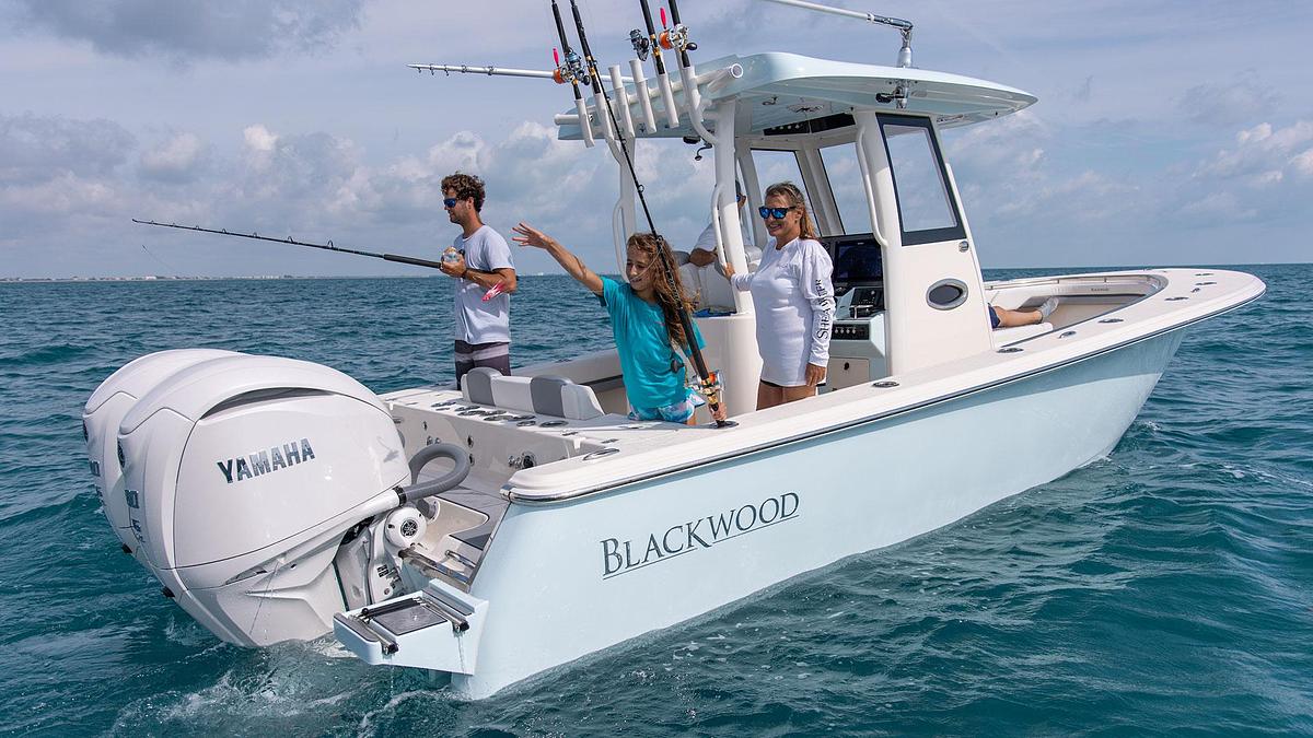 Blackwood 290 LX Open