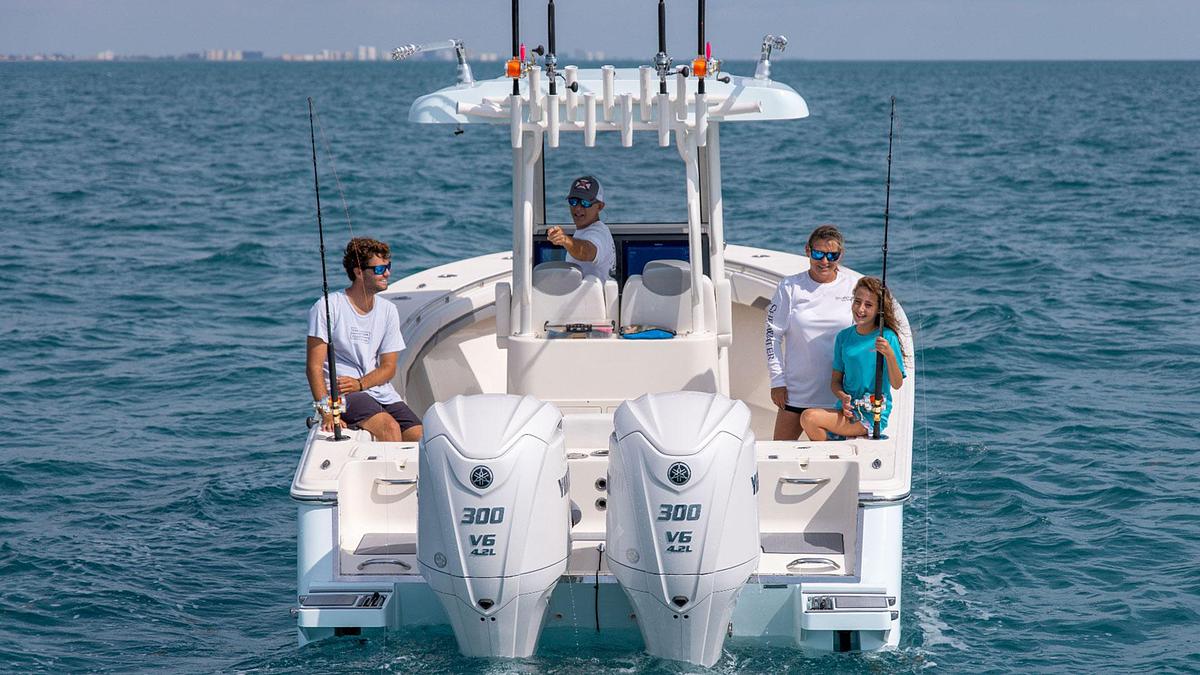 Blackwood 290 LX Open