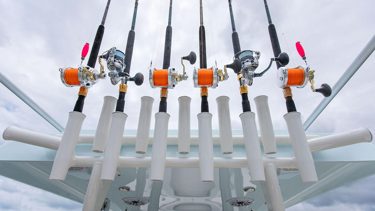 Blackwood 290 LX Open