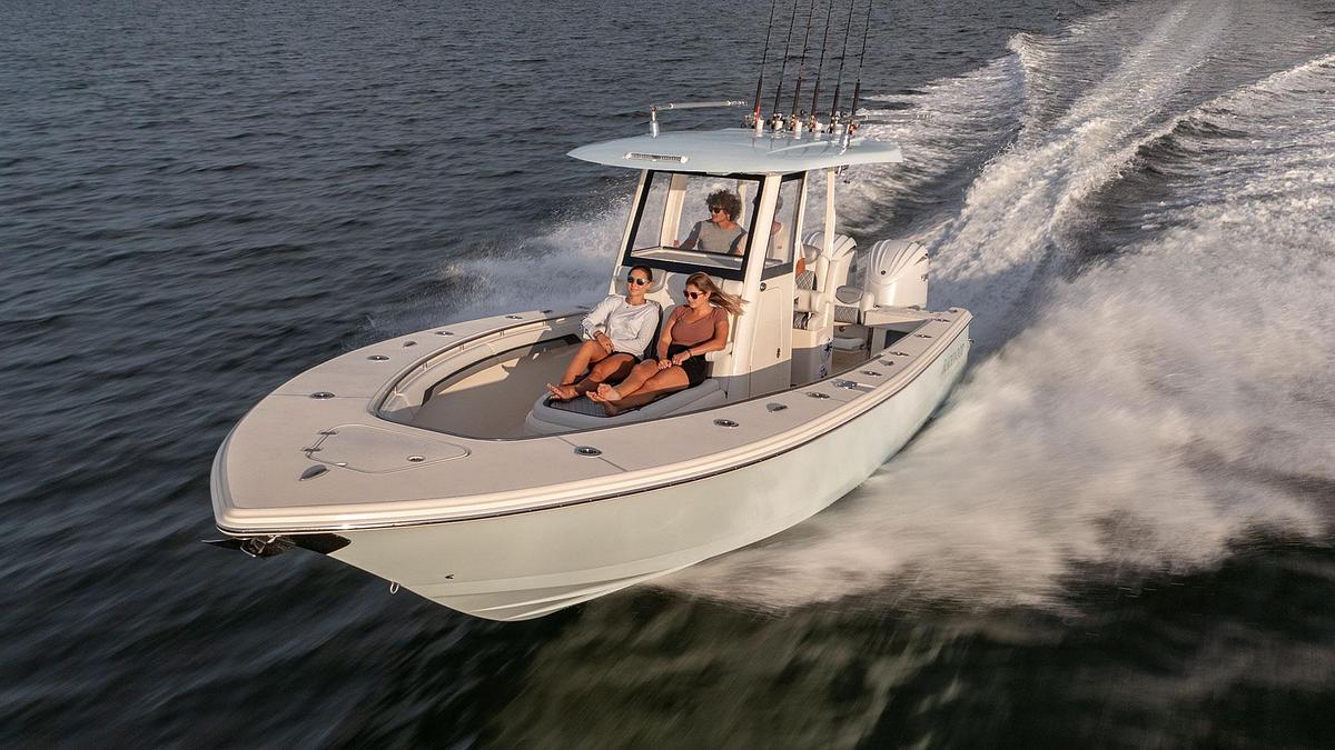 Blackwood 290 LX Open