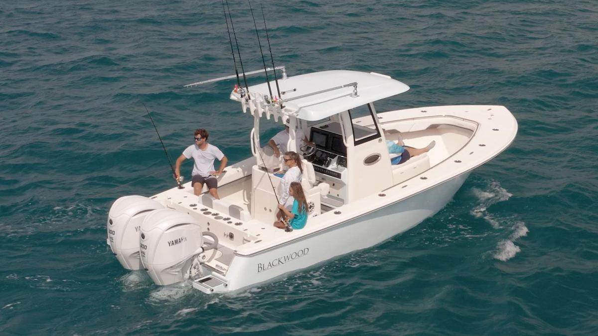 Blackwood 290 LX Open