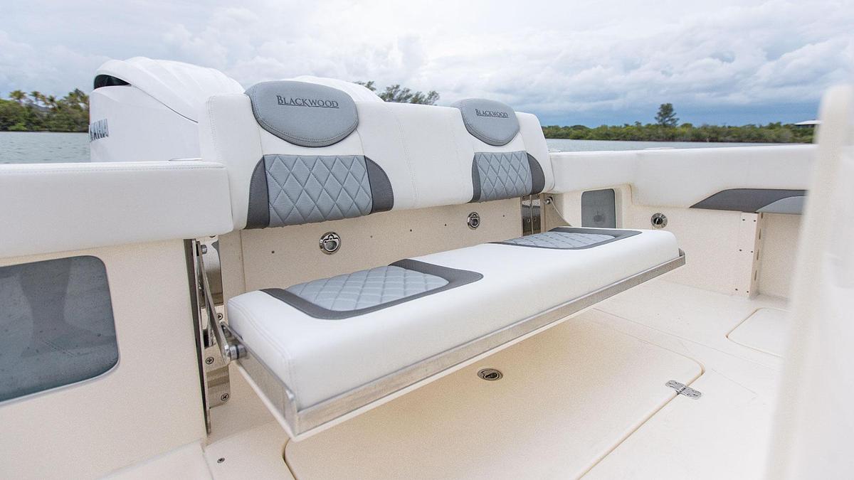 Blackwood 290 LX Open