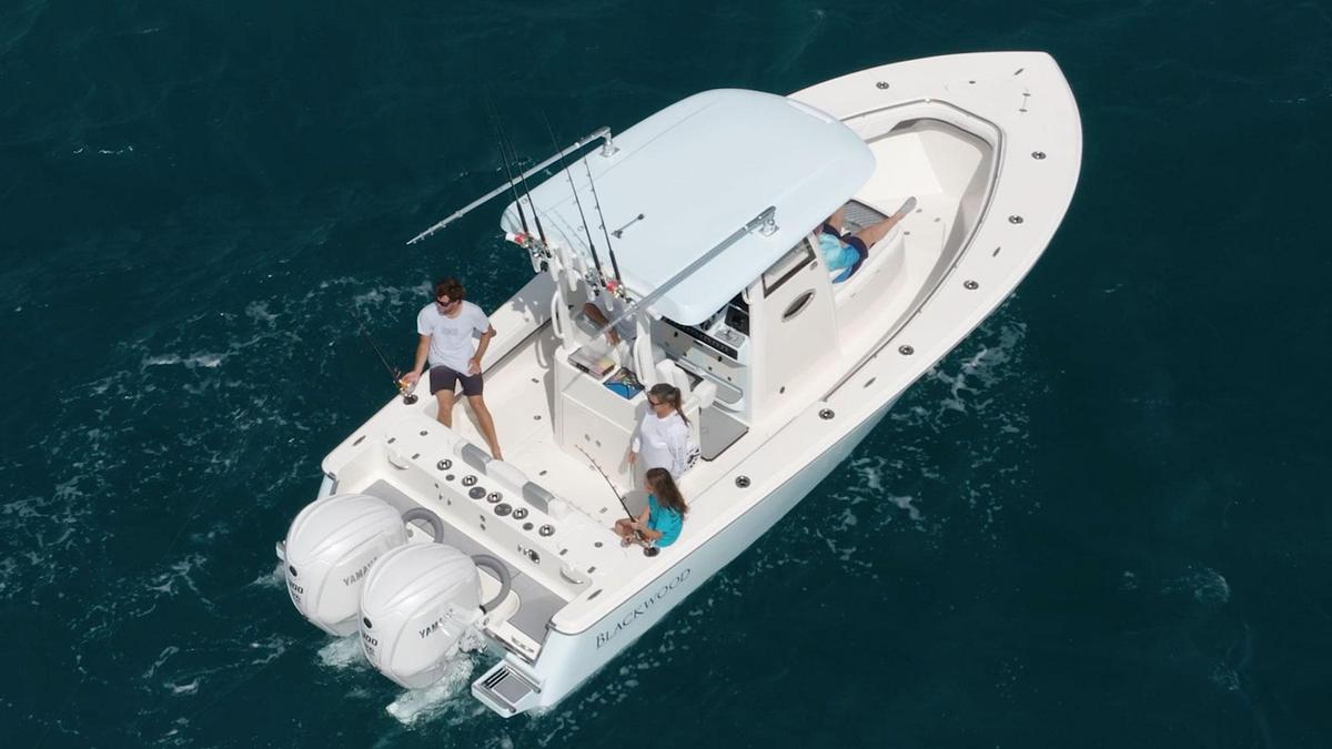 Blackwood 290 LX Open