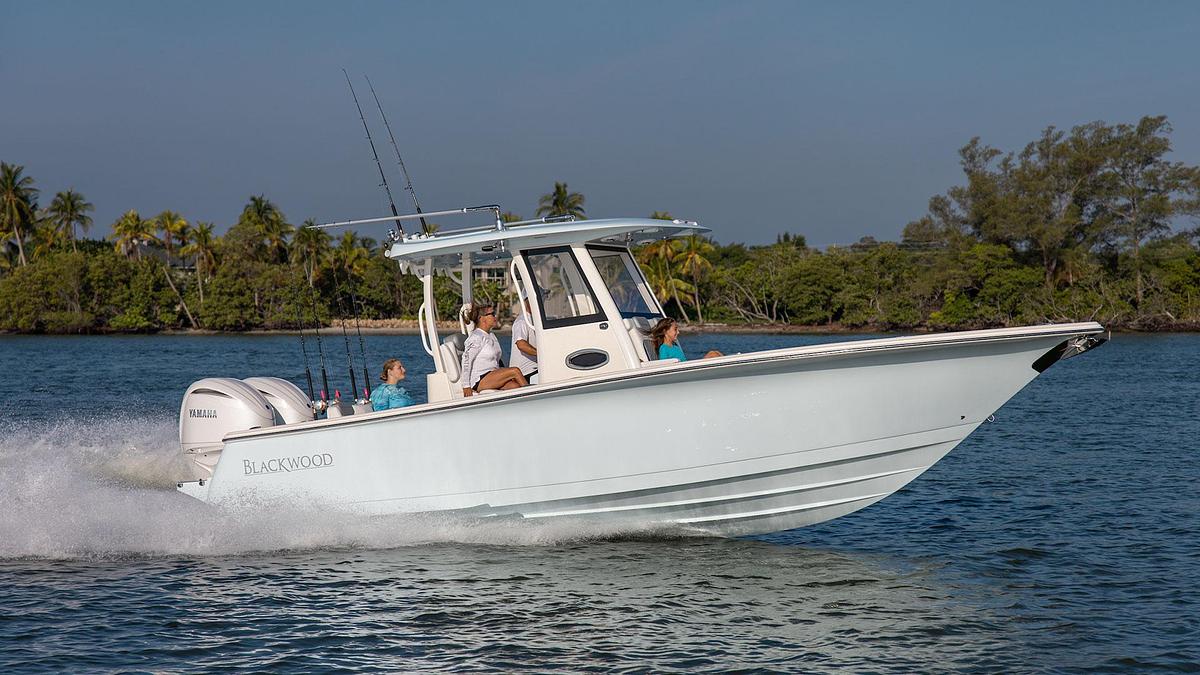 Blackwood 290 LX Open