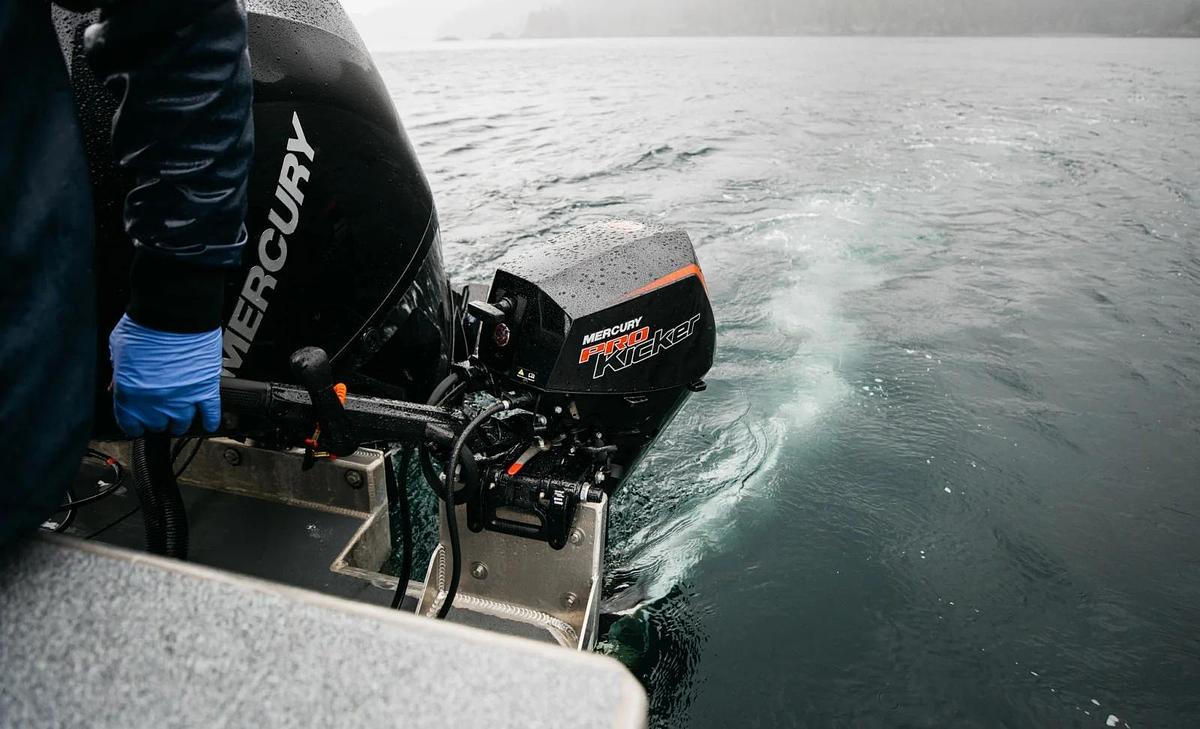 FourStroke ProKicker 9.9-25 hp