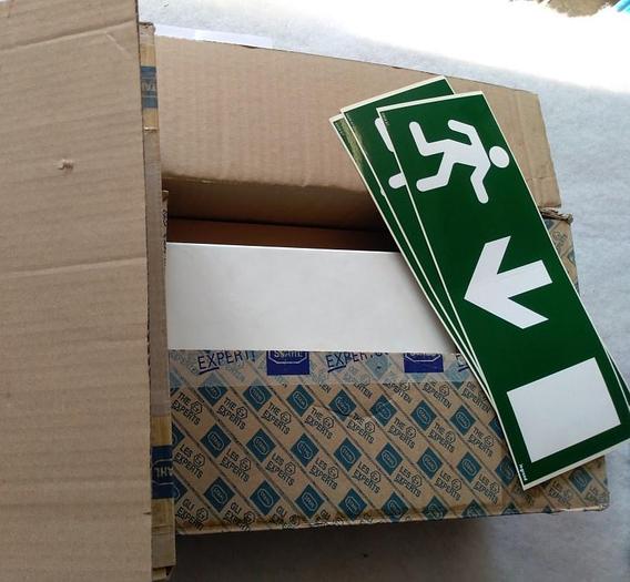 Ex Kompakt Notleuchte 6108/1081-8017, R. Stahl,  neu