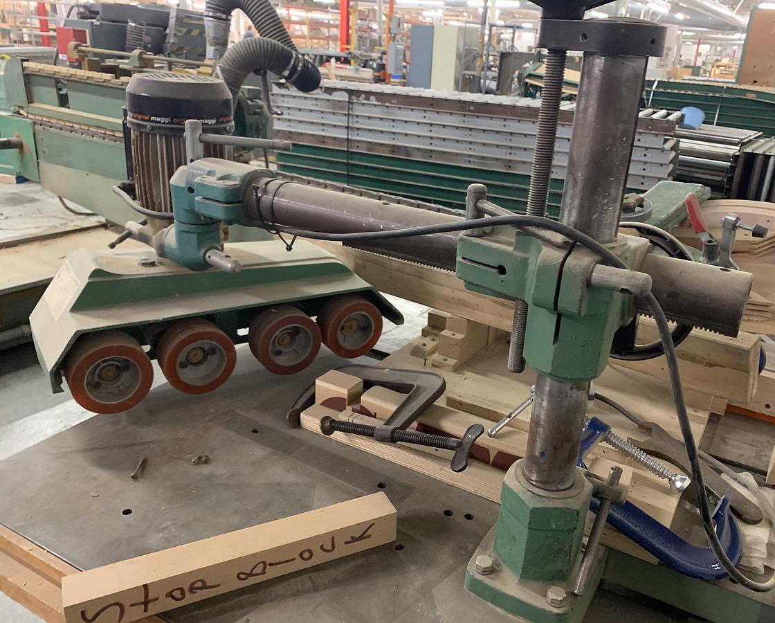 Used TANNEWITZ, XJ, VARIETY SAW WITH STEFF 2044, 4-ROLL FEEDER