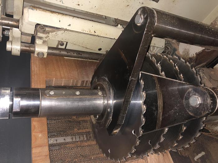 Used WEINIG RAIMANN PROFIRIP KR-310-2M GANG RIPSAW WITH (2) MOVING BLADES