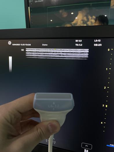 Gebraucht GE Versana Premier Ultraschallgerät mit drei Sonden