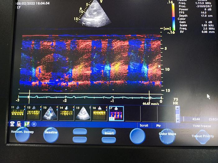 Gebraucht GE Vivid S5 Ultraschallgerät