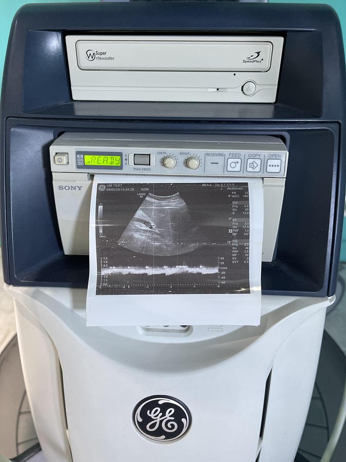 Used GE LOGIQ S8 Ultraschallgerät mit M5S-D kardio Ultraschallsonde und Drucker