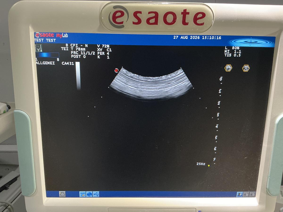 Gebraucht Esaote CA431 Konvex Ultraschallsonde 