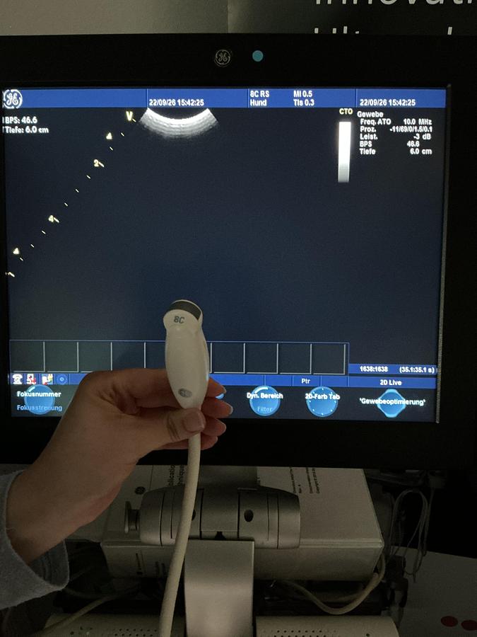 Gebraucht GE 8C-RS Mikro Konvex Ultraschallsonde