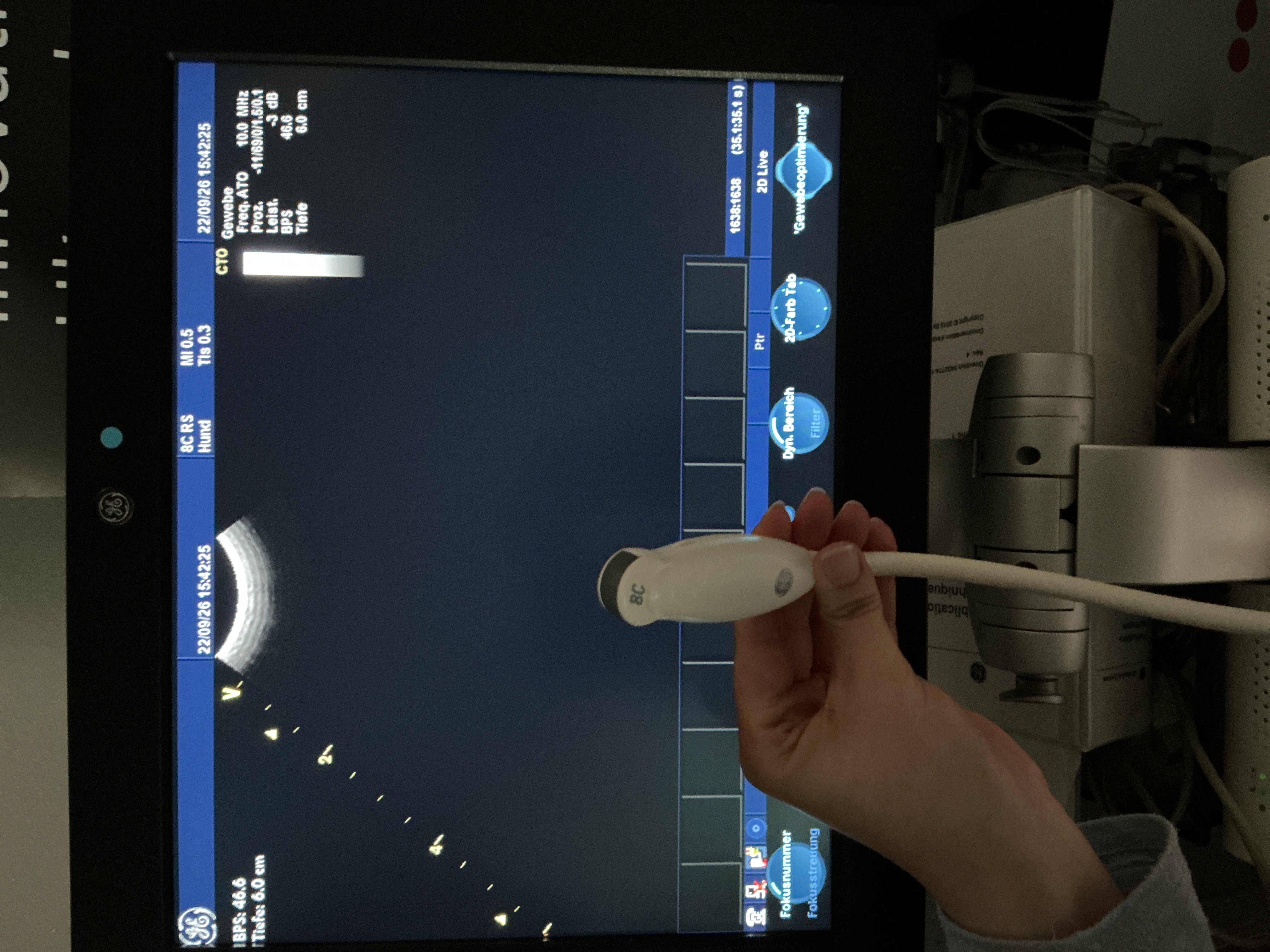 Gebraucht GE 8C-RS Mikro Konvex Ultraschallsonde