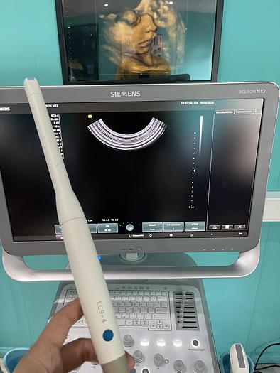 Used Siemens EC9-4 Endovaginal Ultraschallsonde