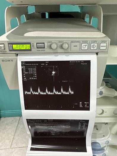 Gebraucht GE Logiq P5 Ultraschallgerät mit drei Sonden und Drucker