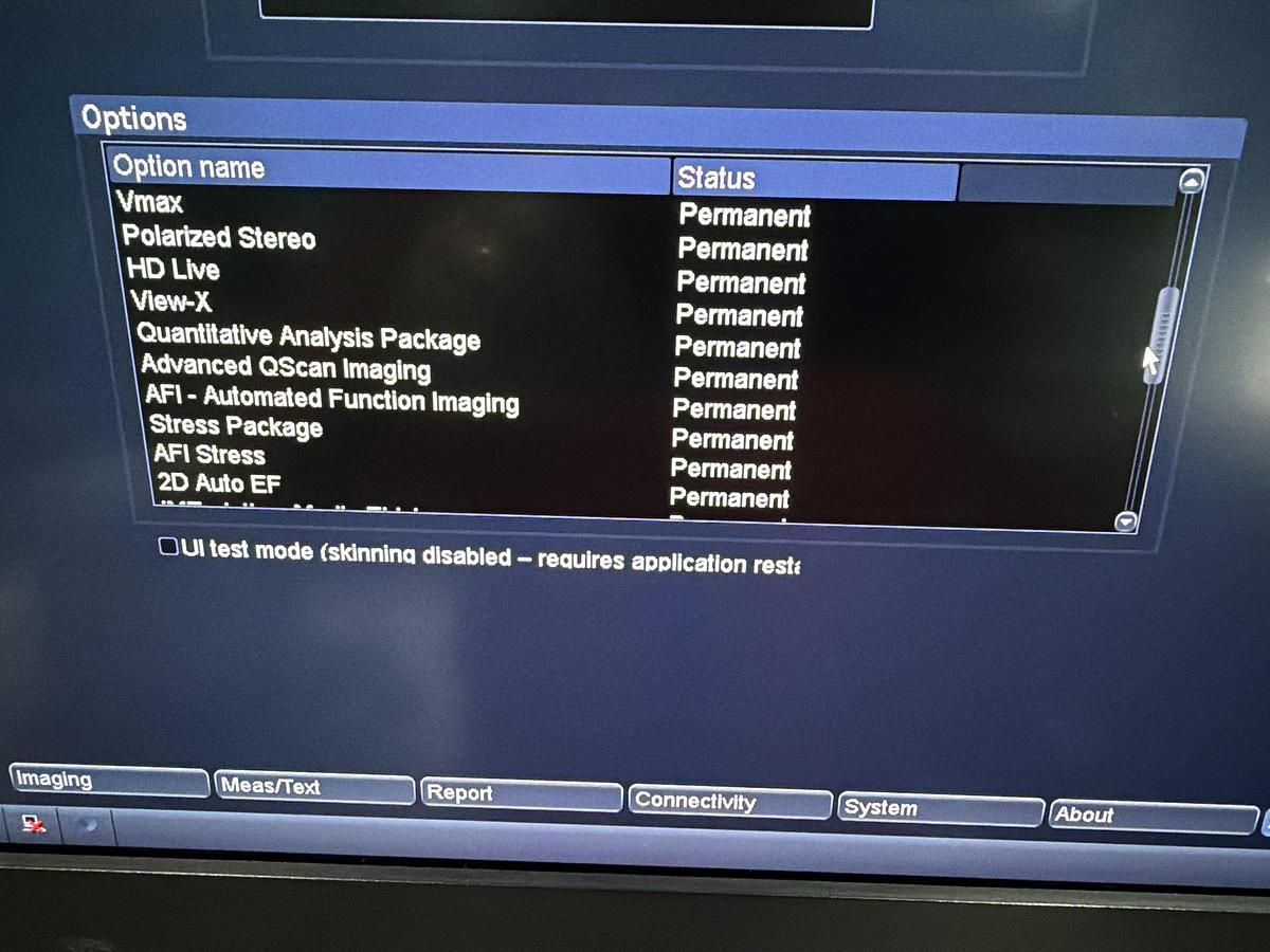 Gebraucht GE Vivid E95 v202 Ultraschallgerät mit zwei Sonden 