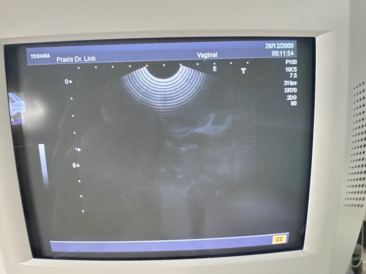 Gebraucht Toshiba PVM-740RT