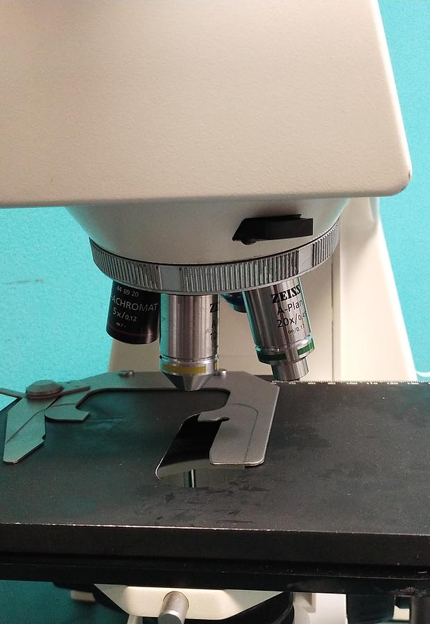 Gebraucht Zeiss Axioskop 40 Mikroskopie  