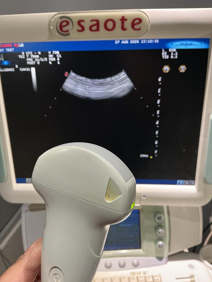 Gebraucht Esaote CA431 Konvex Ultraschallsonde