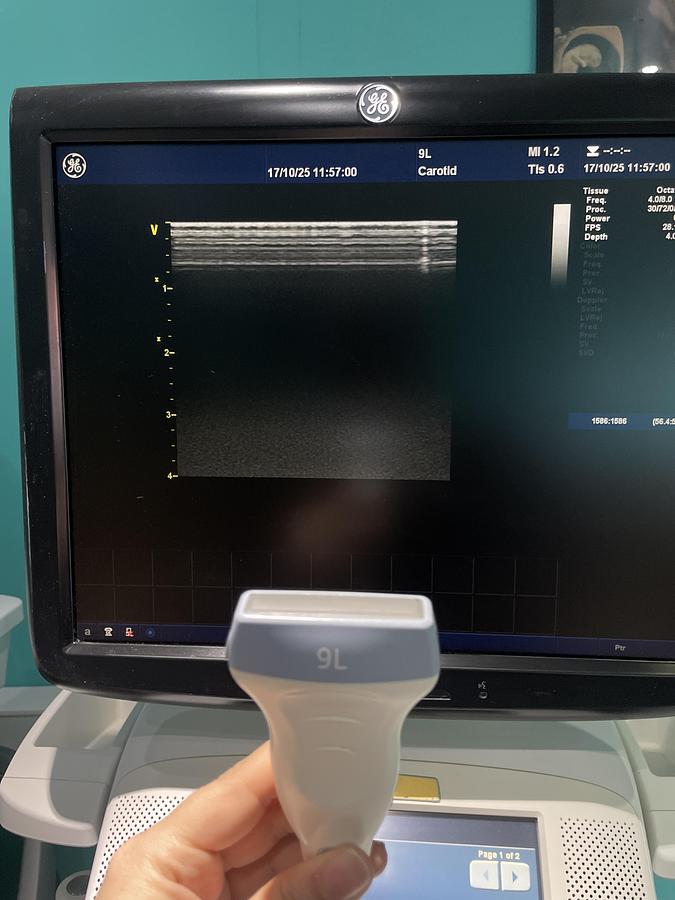 Gebraucht GE 9L-D linear Ultraschallsonde