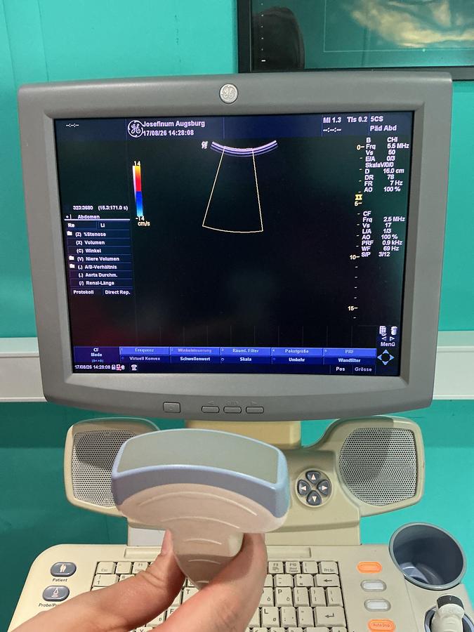 Gebraucht GE Logiq P5 Ultraschallgerät mit zwei Sonden