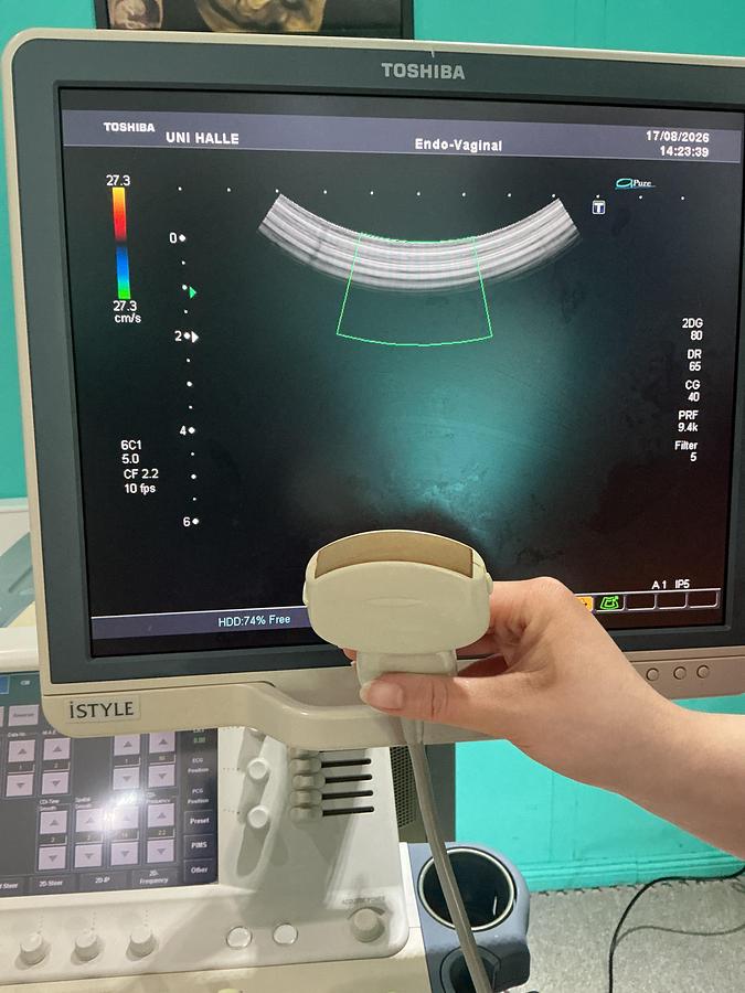 Gebraucht Toshiba iSTYLE Ultraschallgerät mit zwei Sonden 