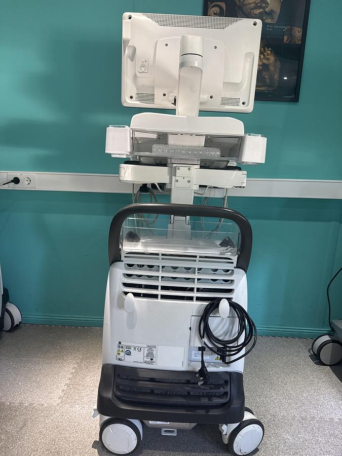 Gebraucht GE Vivid E95 v202 Ultraschallgerät mit zwei Sonden 