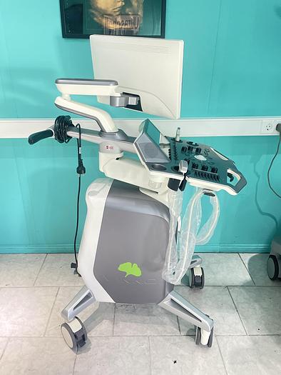 Used Vinno G55 Ultraschallgerät mit Konvex Sonde