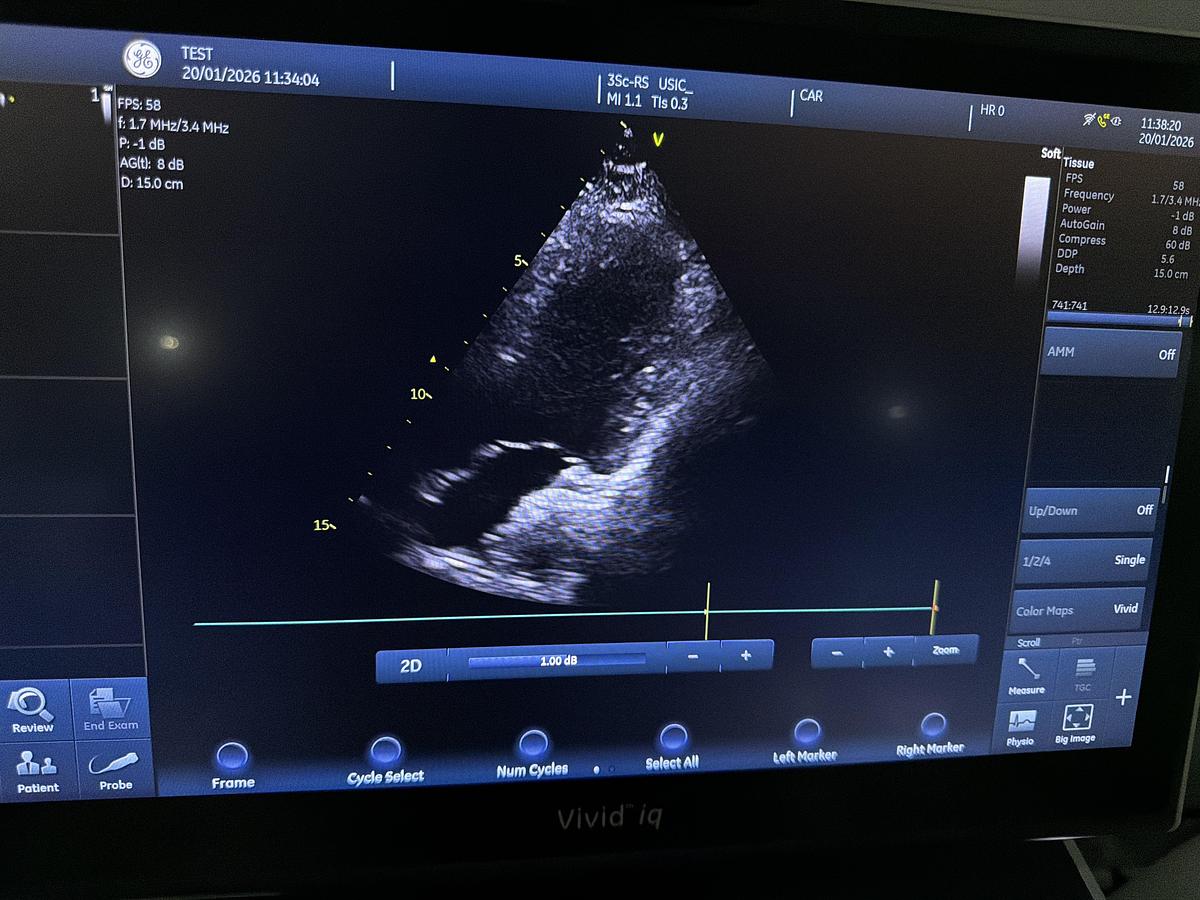 Gebraucht GE 3SC-RS Kardio Ultraschallsonde 