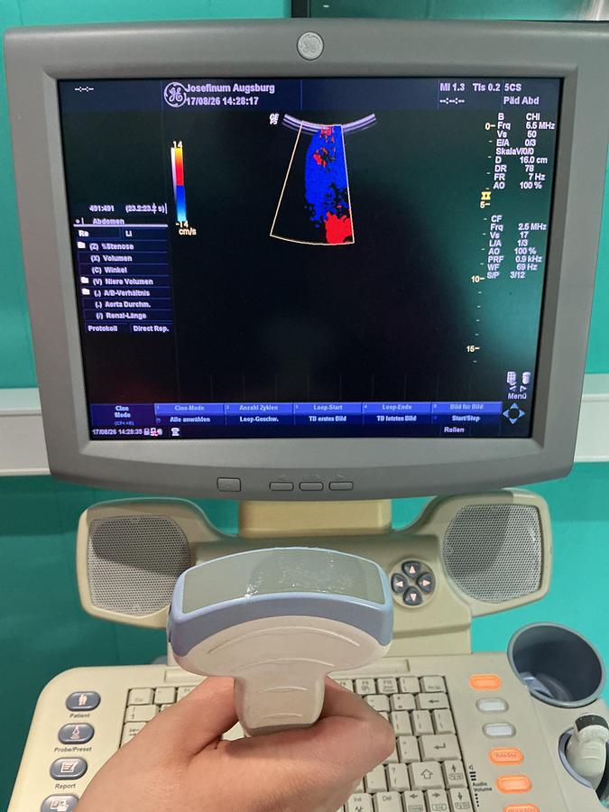 Gebraucht GE Logiq P5 Ultraschallgerät mit zwei Sonden