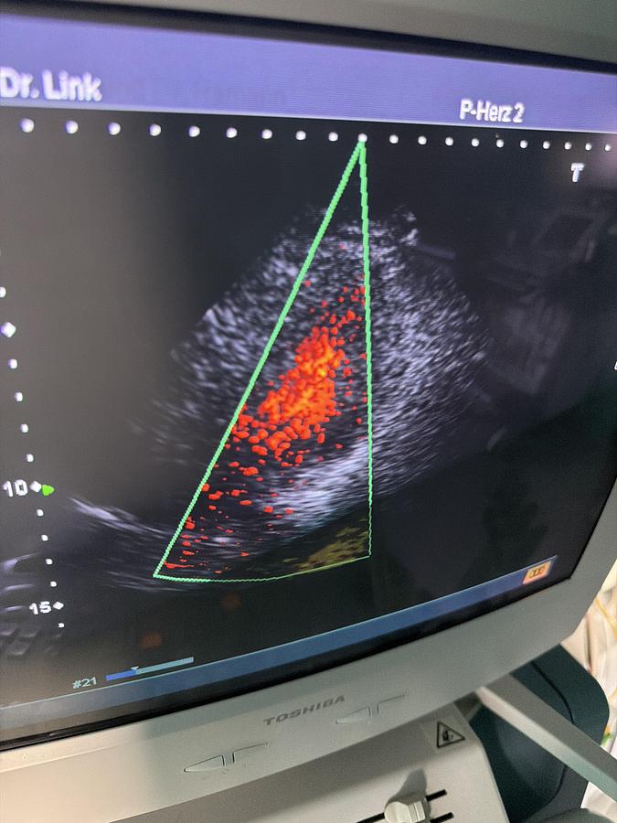Gebraucht Toshiba PSM-25AT