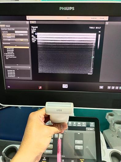 Gebraucht Philips L12-5 Ultraschallsonde