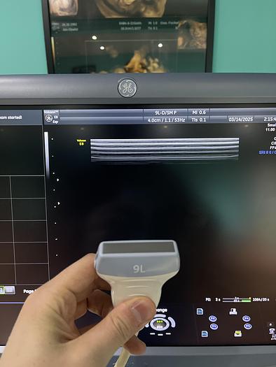 Gebraucht GE Voluson E8 BT13.5 Ultraschallgerät mit drei Sonden