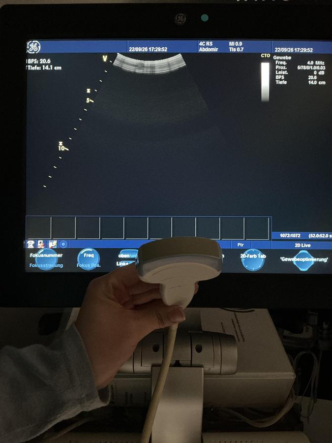 Gebraucht GE 4C-RS Konvex Ultraschallsonde 