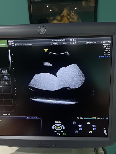 Gebraucht GE 3D/4D RAB4-8-D Ultraschallsonde