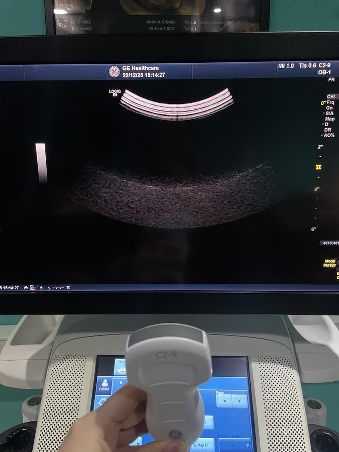 Gebraucht GE C2-9-D Konvex Ultraschallsonde 