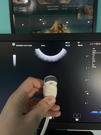 Gebraucht GE Versana Premier Ultraschallgerät mit drei Sonden