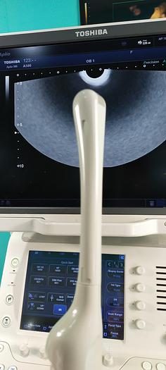 Gebraucht Toshiba Aplio 500 Ultraschallgerät mit 3 Sonden
