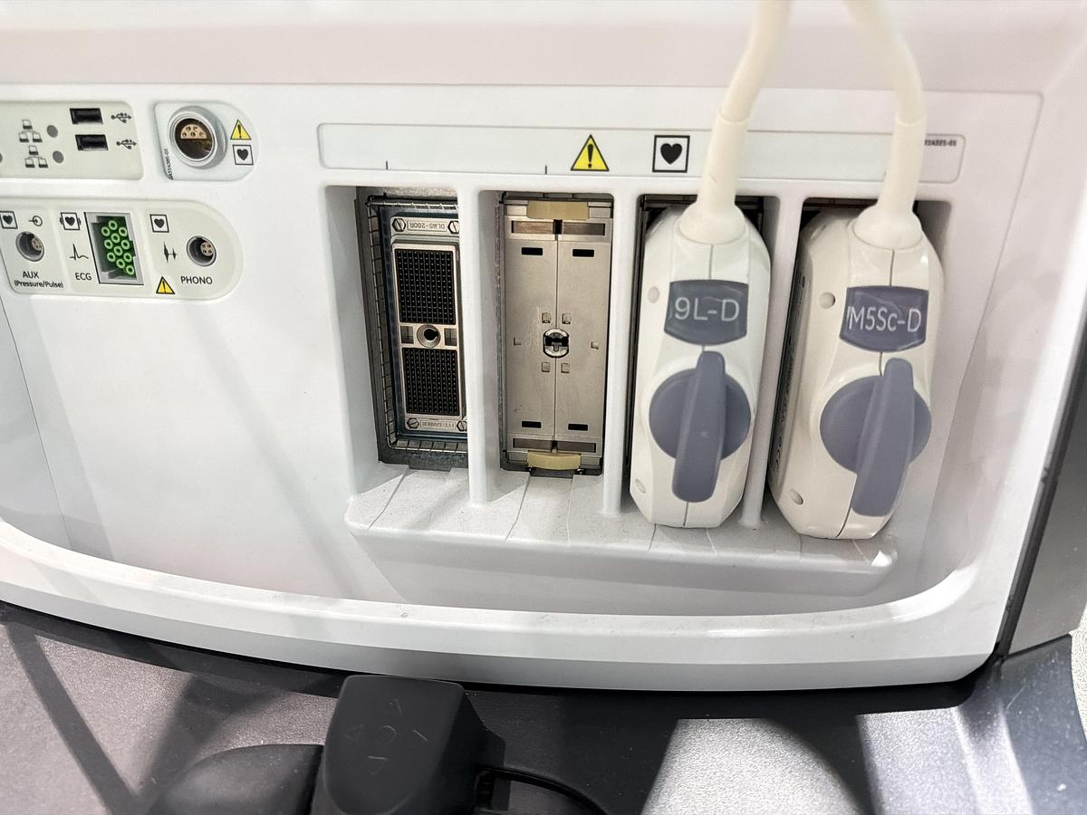 Gebraucht GE Vivid E95 v202 Ultraschallgerät mit zwei Sonden 