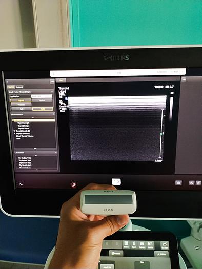 Gebraucht Philips L12-5 Ultraschallsonde