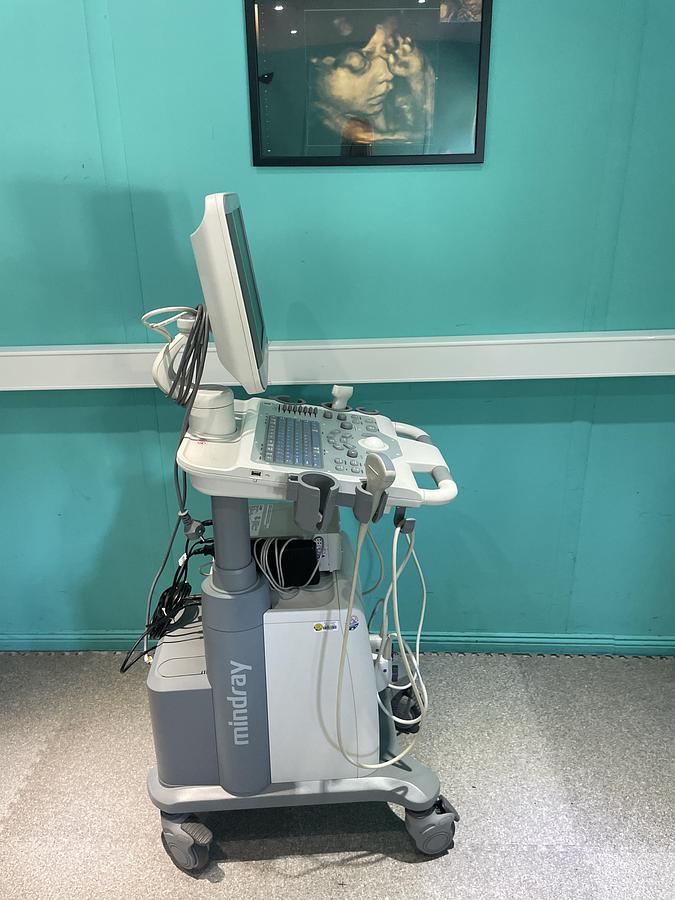 Gebraucht Mindray DP-5 Ultraschallgerät mit zwei Sonden und Drucker