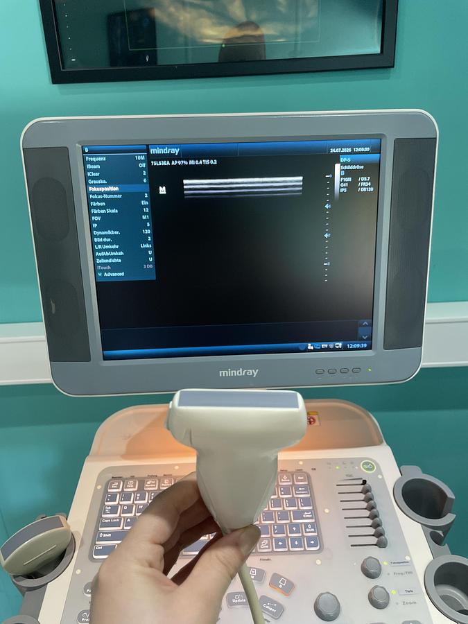 Gebraucht Mindray DP-5 Ultraschallgerät mit zwei Sonden und Drucker