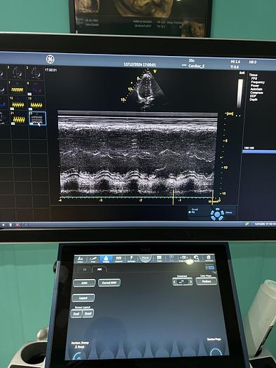 Used GE 3SC-RS Kardio Ultraschallsonde