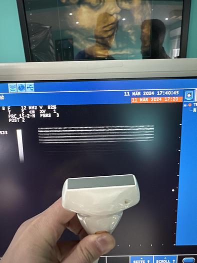 Gebraucht Esaote MyLab20Plus Ultraschallgerät mit drei Sonden